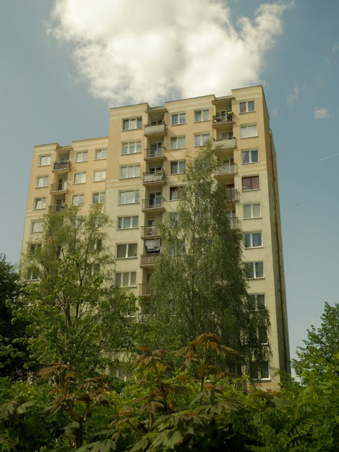 Jakie są nowe trendy w lokalnym handlu?